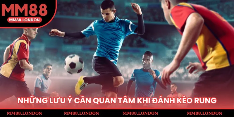 Lưu ý cần nắm khi tiến hành soi kèo rung